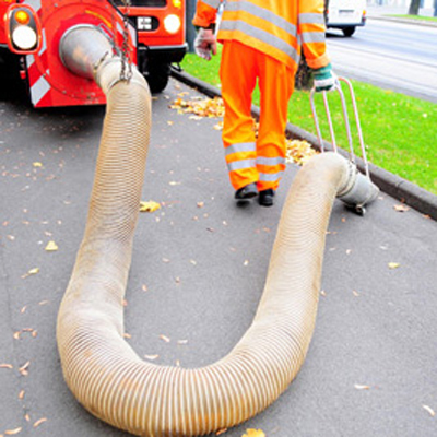 estrazione di foglie