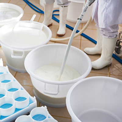 produzione di latte e formaggio